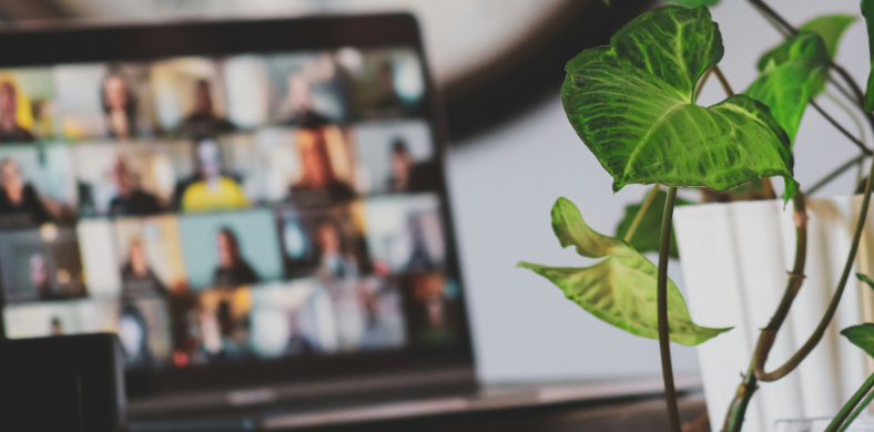 Primer pla d'una planta verda. Al fons, un ordinador portàtil desenfocat mostra una pantalla amb una videoconferència.