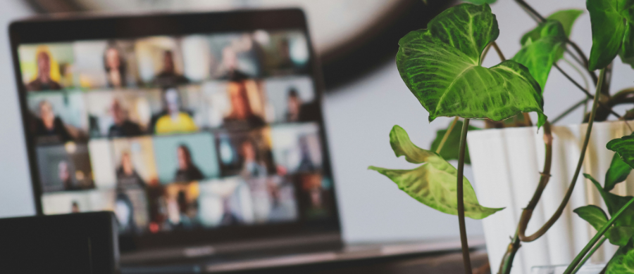 Close-up of a green plant. In the background, a blurry laptop shows a screen with a videoconference.