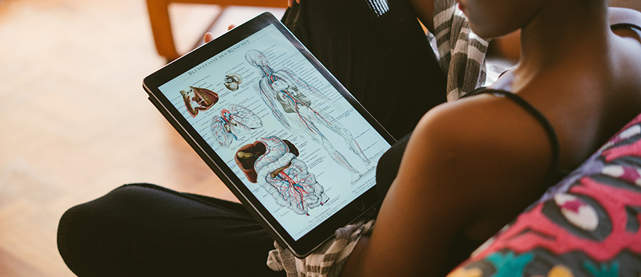 A girl looking at anatomical models on a tablet