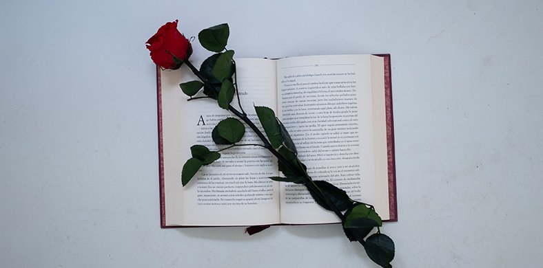 Book and rose