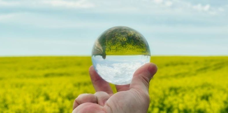 Una mano sostiene una bola de cristal transparente en medio de un campo florido de color amarillo.