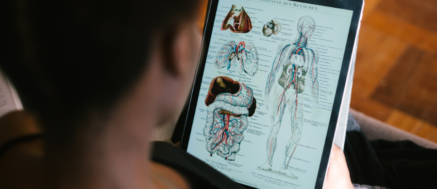 A person consulting anatomical information on a tattoo chart