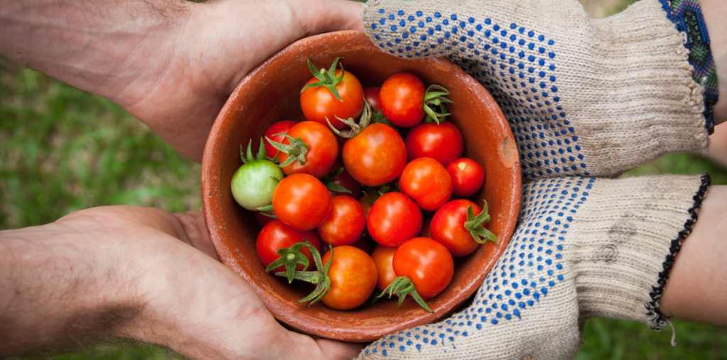 Four hands holding a bowl of tomatoes