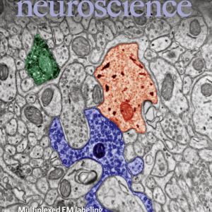 Portada de Nature Neuroscience