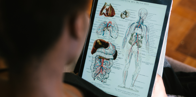 A person consulting anatomical information on a tattoo chart