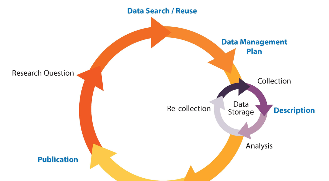 Infografia: The Research Data Management Lifecycle